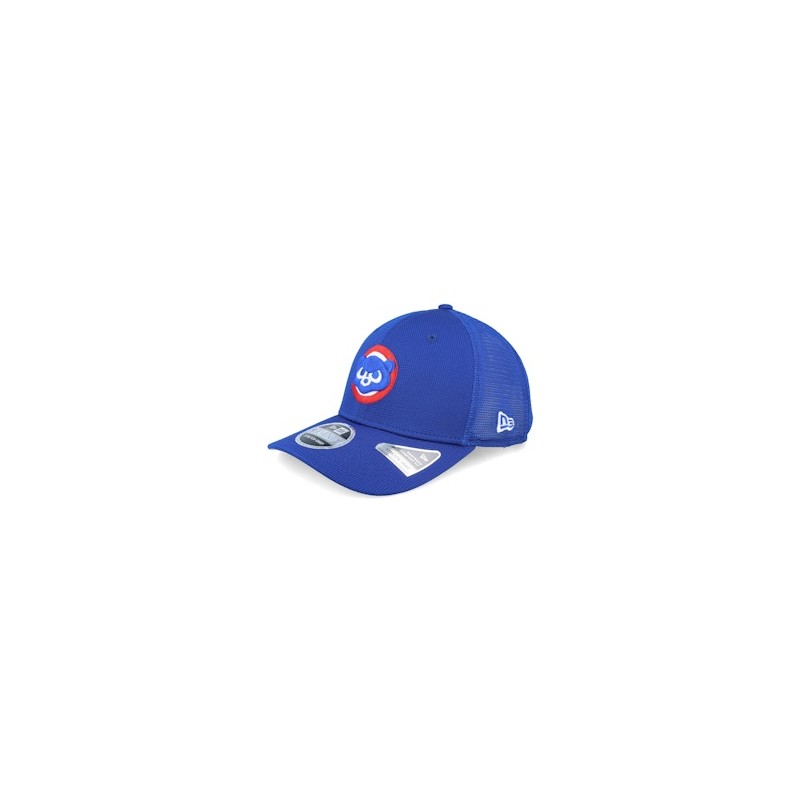 Chicago Cubs MLB Batting Practice Royal Trucker - New Era