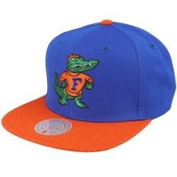 Florida Gators Team 2 Tone 2.0 Green/Orange Snapback - Mitchell & Ness