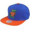 Florida Gators Team 2 Tone 2.0 Green/Orange Snapback - Mitchell & Ness